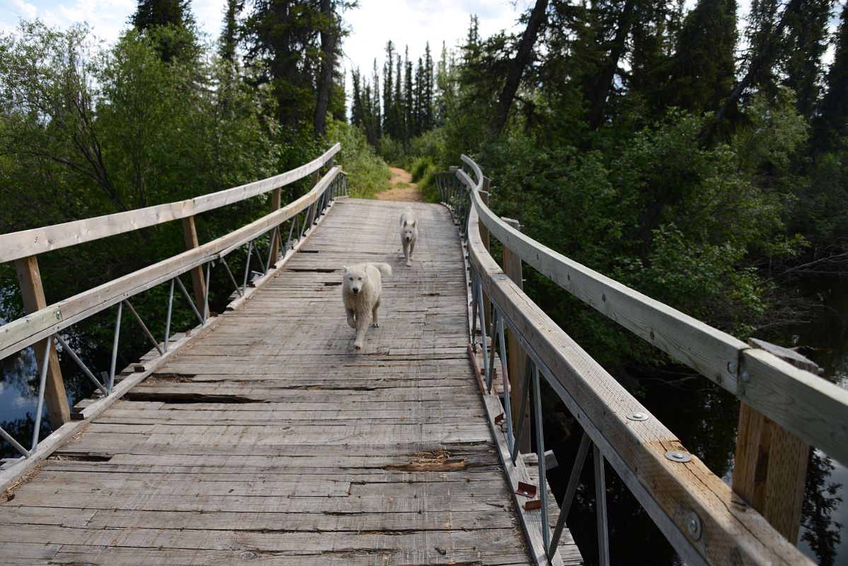 35A There Is A Nature Walk At The Arctic Chalet in Inuvik Northwest Territories